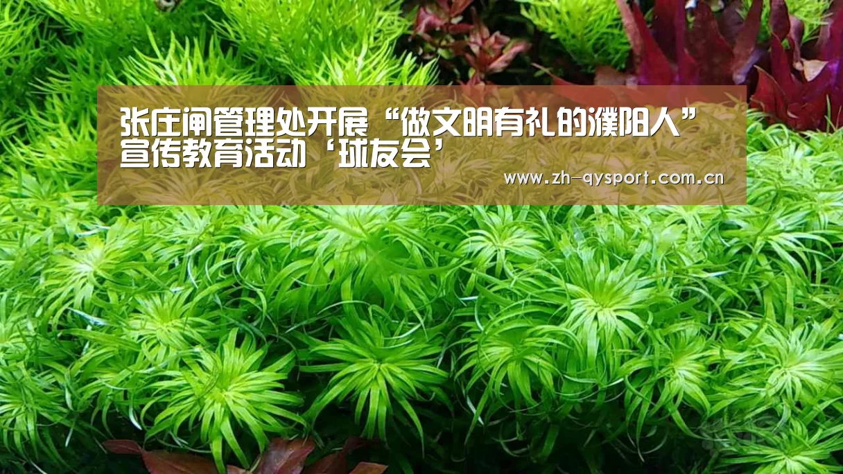 张庄闸管理处开展“做文明有礼的濮阳人”宣传教育活动‘球友会’(图2) 球友会